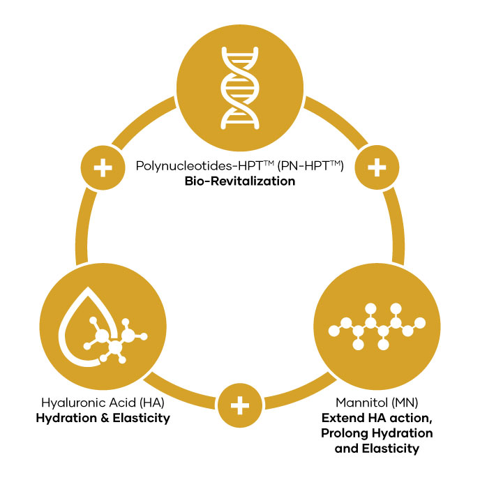 Synergy Formulation Diagram